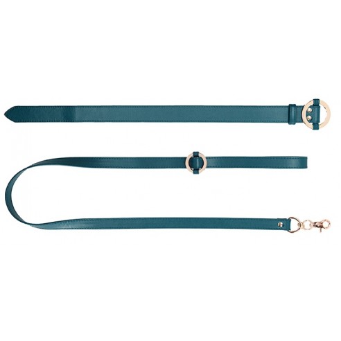 Collier-Laisse Halo Col Bleu