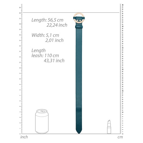 Collier-Laisse Halo Col Bleu