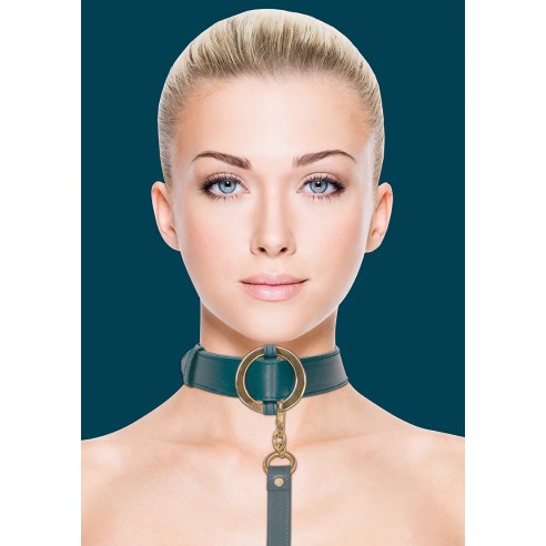 Collier-Laisse Halo Col Bleu