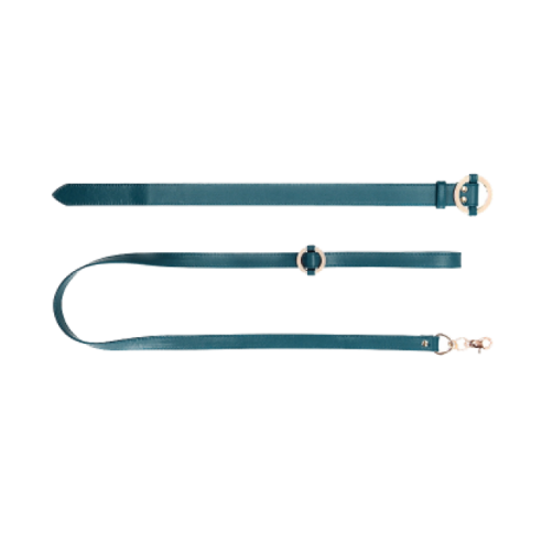 Collier et Laisse en simili cuir - Halo - Bleu