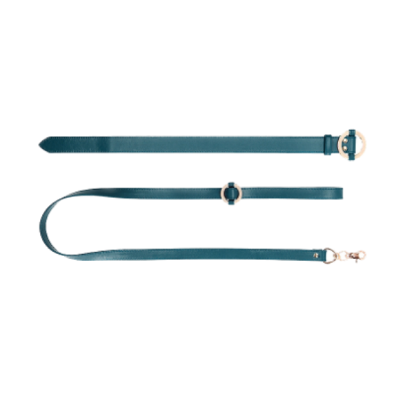 Collier et Laisse en simili cuir - Halo - Bleu