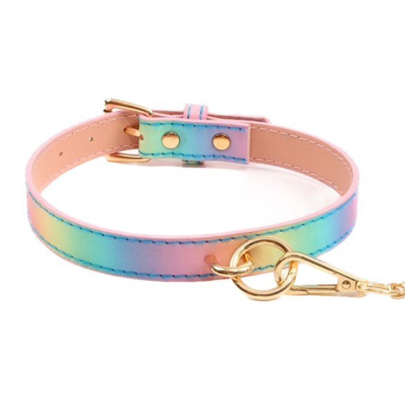 Collier et laisse - Effet holographique