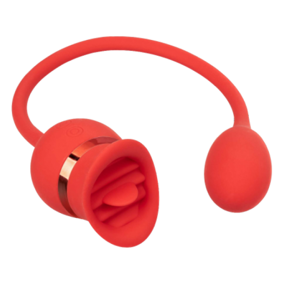 Stimulateur sans contact avec œuf vibrant - French Kiss