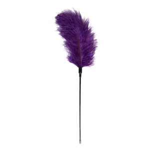 Plume à caresses - Teasing - Violet