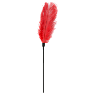 Plume à caresses - Teasing - Rouge