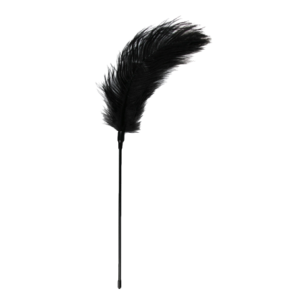 Plume à caresses - Teasing - Noir