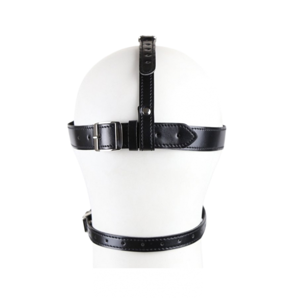 Bâillon Boule et Masque Réglables