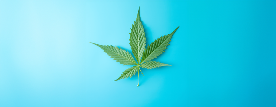 Lubrifiant CBD : quelle utilisation ? Quel effet ?